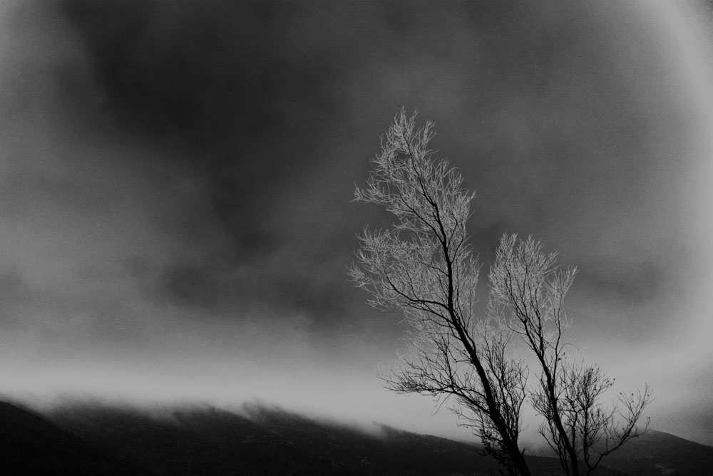 Landscapes in black & white