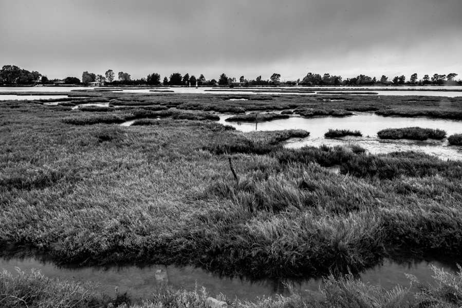 Messolonghi Black & White